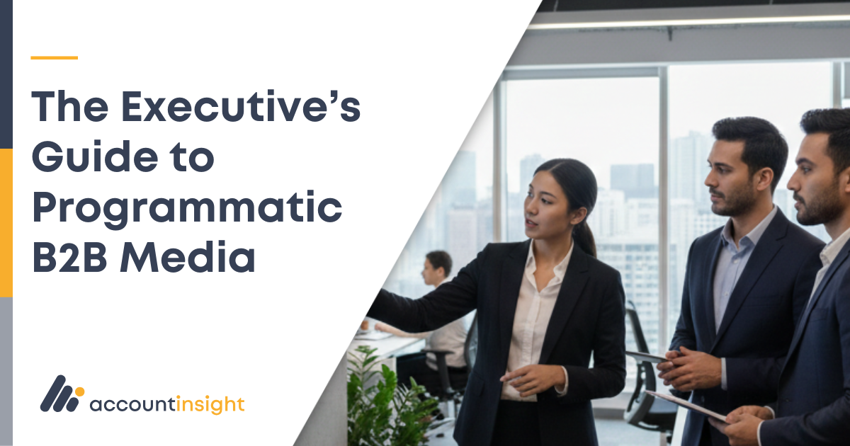 The Executive Guide to Programmatic B2B Media