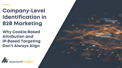 Company‑Level Identification in B2B Marketing