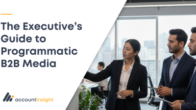The Executive Guide to Programmatic B2B Media